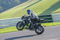 Middle Group Black Bikes